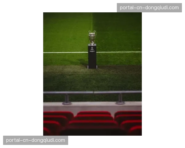 2026年欧冠决赛场馆：布达佩斯新球场通过欧足联最终验收